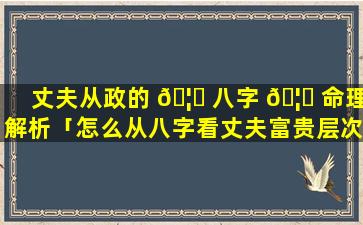 丈夫从政的 🦟 八字 🦊 命理解析「怎么从八字看丈夫富贵层次」